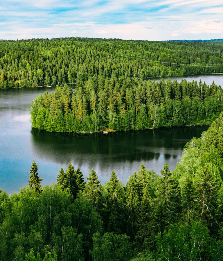 Sustainability-Hamelin_Web